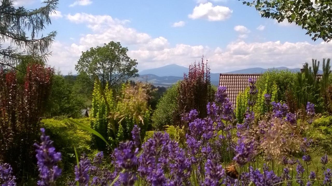 Villa Gorczanska Rabka Kültér fotó